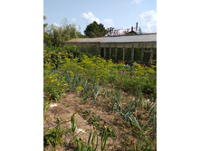 ������, ���������� �������