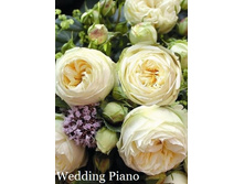 ���� Wedding Piano (�������� 17��).jpeg