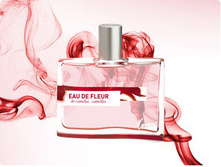 Kenzo eau de fleur de camelia  � � 50 �� 2600+%+����