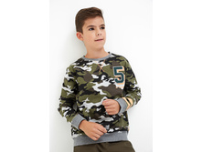 20110100147   Diatel   �������.jpg