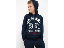 20110170047   Franklin   �����̆.jpg