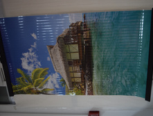 �������. ������ �����