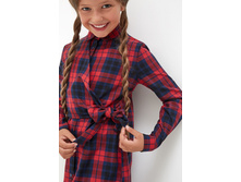 20210200262   Gondor   �������(������).jpg