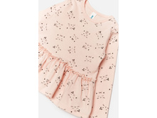 20250100006   Abrikos   ����������̆(������).jpg