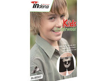 ������������ ���ӣ�� ���������� �� Indena ���.85507