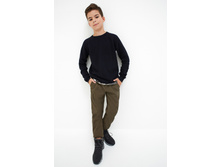 20110160181   Cedar   ����.jpg