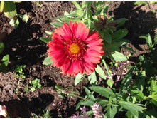 ��������� ���� ���