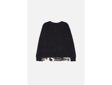 20110310057   Davidson   �����-�������(����).jpg