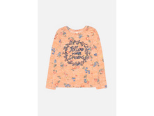 20210100202   Grog   �������̆(���).jpg