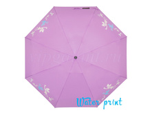 ���� ������� 611 Dolphin 5 �� �������� ������.�������