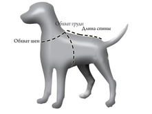 ��� ������� ������