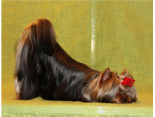 54d38372ca179 1-img4719.JPG