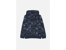 20120170051   Lewis   �����̆ �����(����).jpg