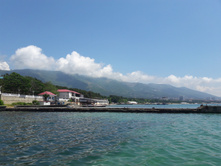 20180604 120436.jpg
