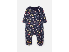 20254140017   Regata   �������.jpg