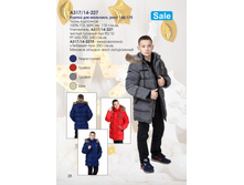 ����� ����  2400 + ���