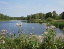 ���� � � ������