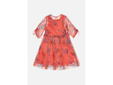 20210200274   Sambuca   �������(���).jpg