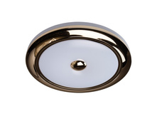 688010101 1900�.jpg