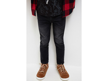 20120160170   Ortis   ������̆(������).jpg