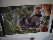 �����. ������ �����