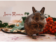 ������-3 5-2.jpg