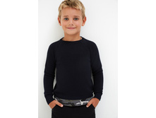 20120310055   Davidson   �����-�������.jpg