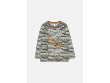 20120100157   Galka   �������(���).jpg