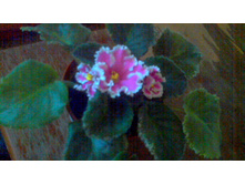 ������ ��� ��������(�������������)