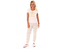 ������ ������ ����: 504�