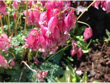 �������� ���� �� �����