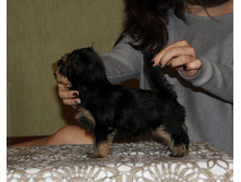 IMG 7538.JPG