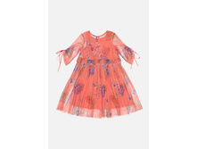 20220200296   Sambuca   �������(����).jpg