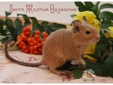 ���������-3 5-1.jpg