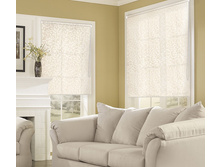 ���� ��������.jpg