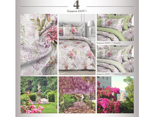 ��������� ������� 220 �� �������