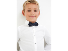 20120280067   Hazel   �����(������).jpg