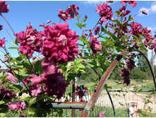 �������� �������� ����� �������