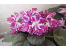 ��-��������� ���������.jpg