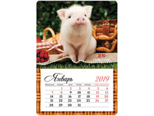 ��������� �������� �� ������� 95�135��, �������, OfficeSpace Mono - ������ ����, 2019�. 261327 27,16 +1 ��.jpg