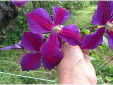 �������� ���� �� �����