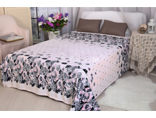 ���� ������� ���� ��������