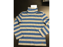 20120100159   Golub   �������.jpg