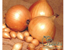 ��� ������, ������� 450��, 68 ��� (�������� 7 �������).jpg