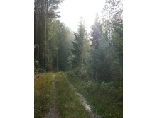 ����� �����