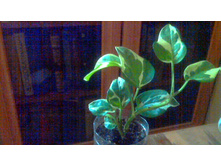 ���������� N' Joy