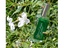 AtelierCologne JasminAngelique ��� 100 �� 5600+%+����