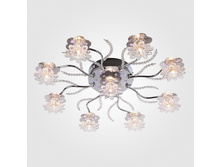 48319 4200� ��.jpg