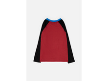 20120100143   Prince   �������(����).jpg