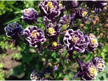 ��������� ����� ����� � ����� ��������